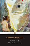 Cover of 'The Water-Babies, A Fairy Tale for a Land Baby' by Charles Kingsley