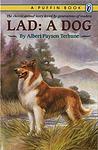 Cover of 'Lad: a Dog' by Albert Payson Terhune
