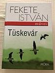 Cover of 'Tüskevár' by István Fekete