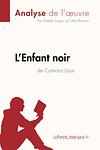 Cover of 'L'enfant Noir' by Camara Laye